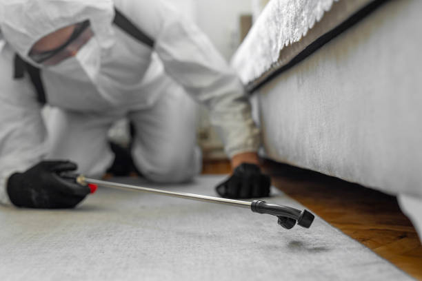 Professional Bed Bug Control technician working in Van Alstyne, TX