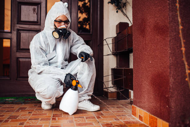 Reliable Bed Bug Control contractor in Van Alstyne, TX by Nex Pest Control