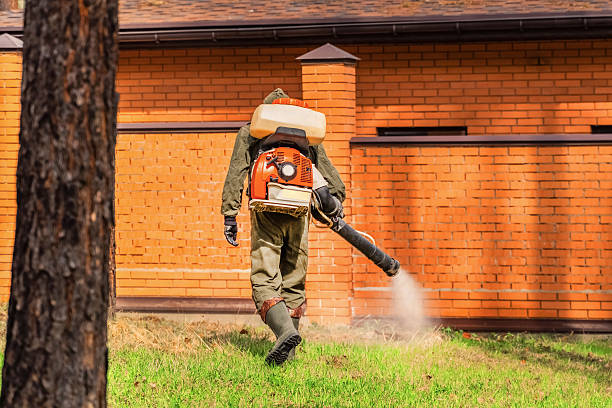 Top rated local Bed Bug Control specialists in Van Alstyne, TX